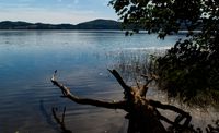 NATURSCHUTZGEBIET LAACHER SEE